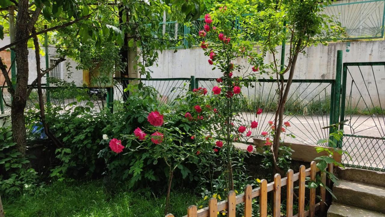 Borjomi Nest Ξενοδοχείο Εξωτερικό φωτογραφία