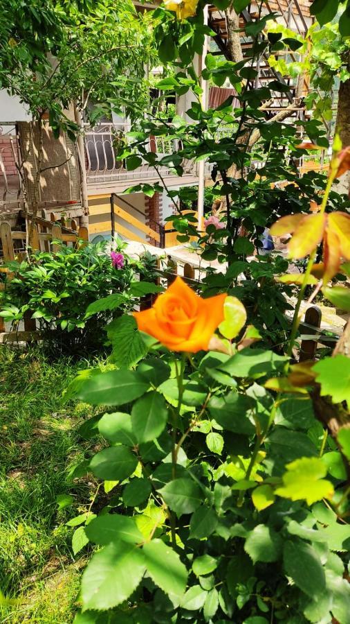 Borjomi Nest Ξενοδοχείο Εξωτερικό φωτογραφία