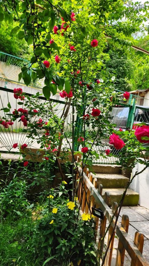 Borjomi Nest Ξενοδοχείο Εξωτερικό φωτογραφία