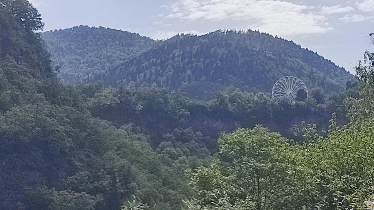 Borjomi Nest Ξενοδοχείο Εξωτερικό φωτογραφία